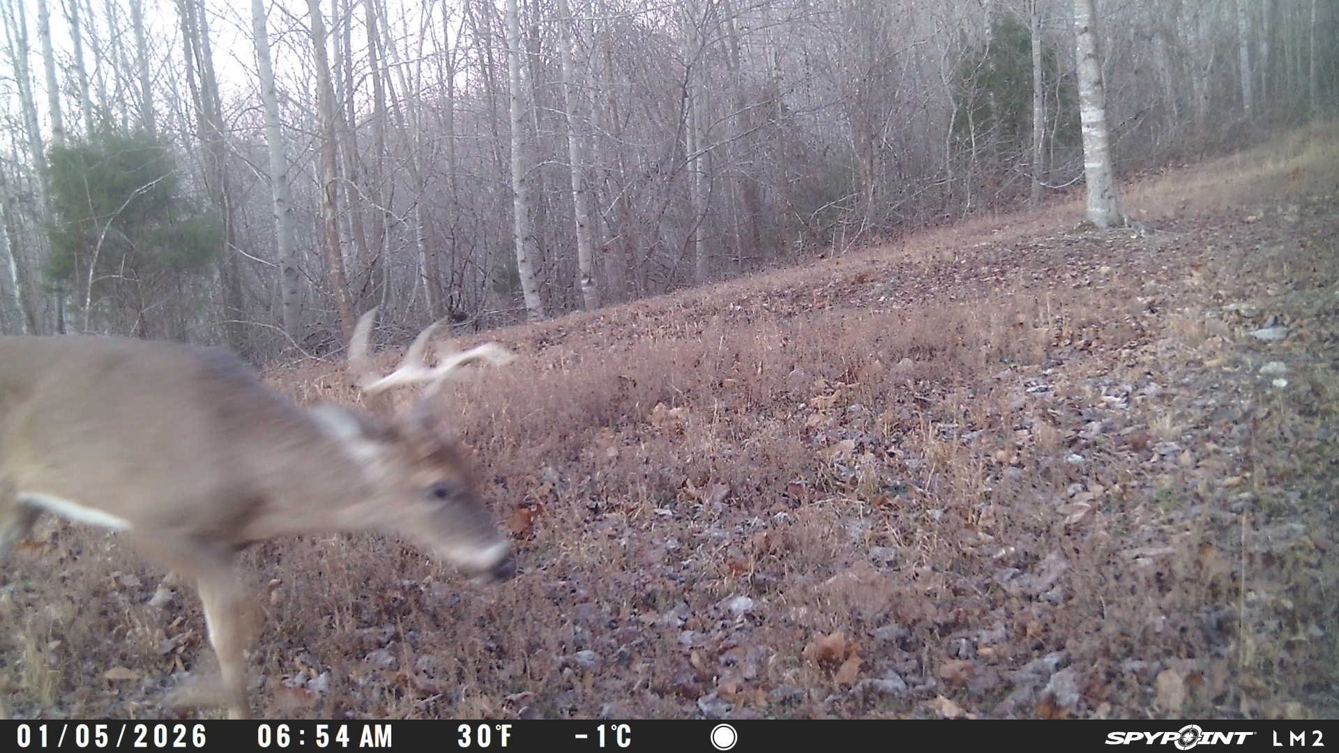 0 Lost Hollow Lane Ashland City TN 37015