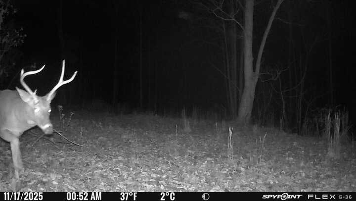 0 Lost Hollow Lane Ashland City TN 37015