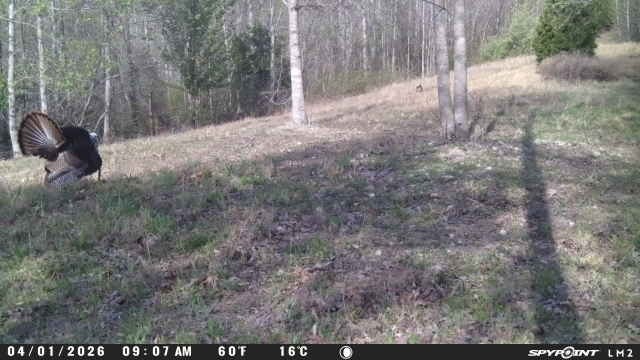 0 Lost Hollow Lane Ashland City TN 37015