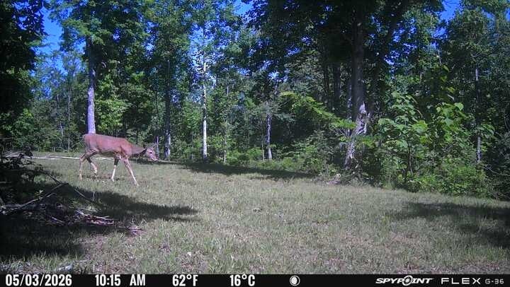 0 Lost Hollow Lane Ashland City TN 37015