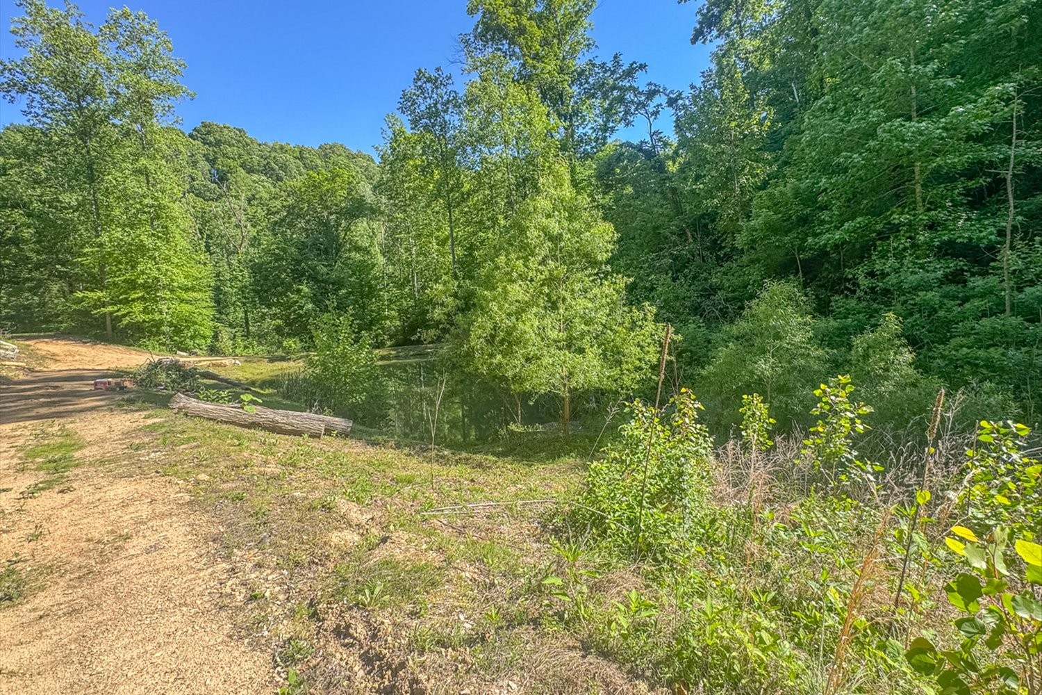 0 Lost Hollow Lane Ashland City TN 37015