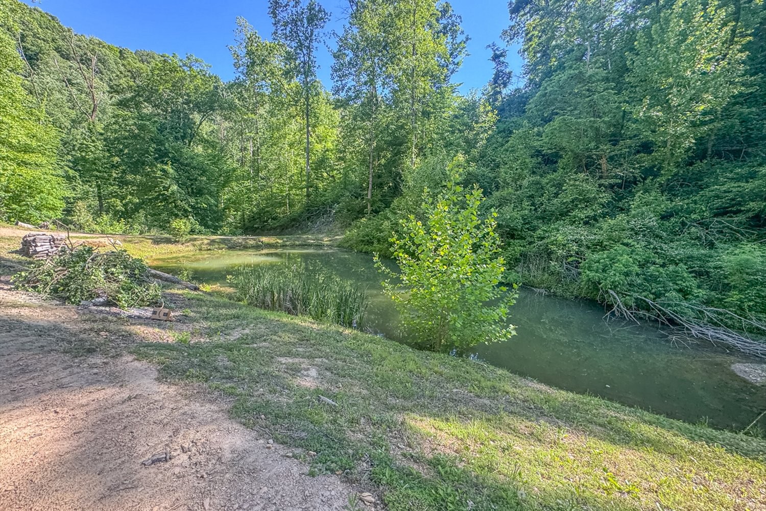 0 Lost Hollow Lane Ashland City TN 37015