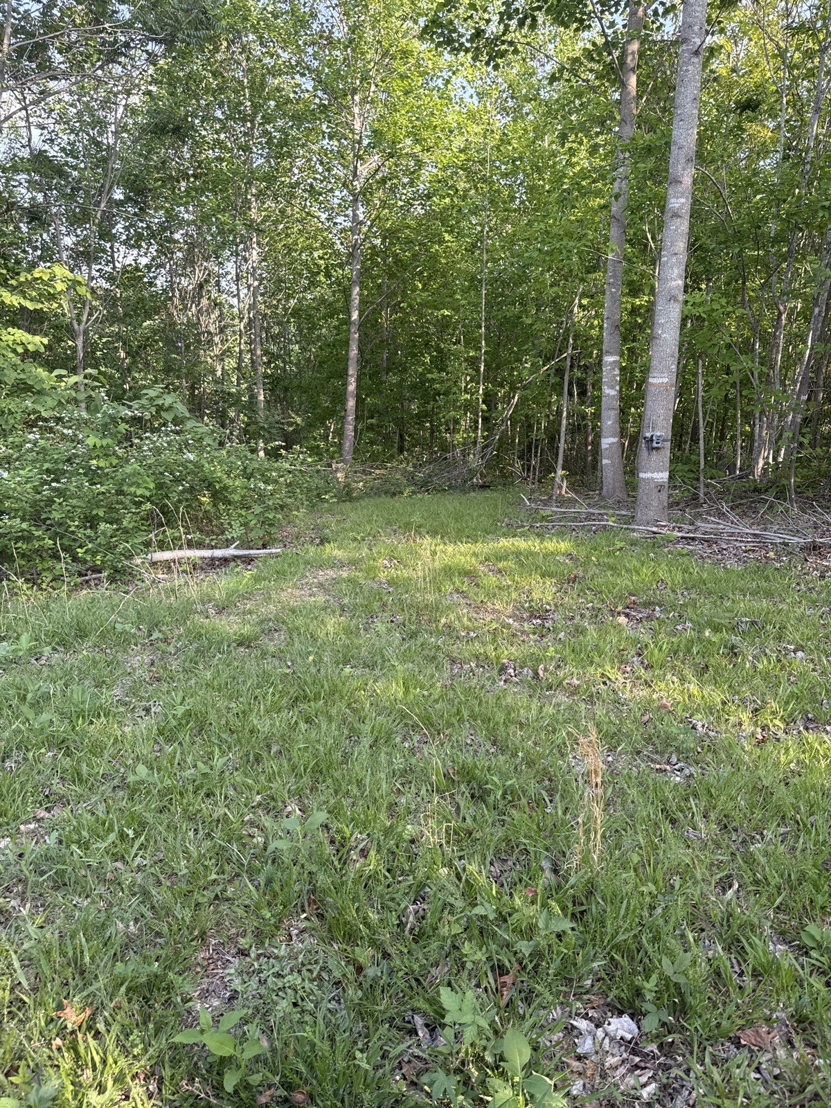 0 Lost Hollow Lane Ashland City TN 37015