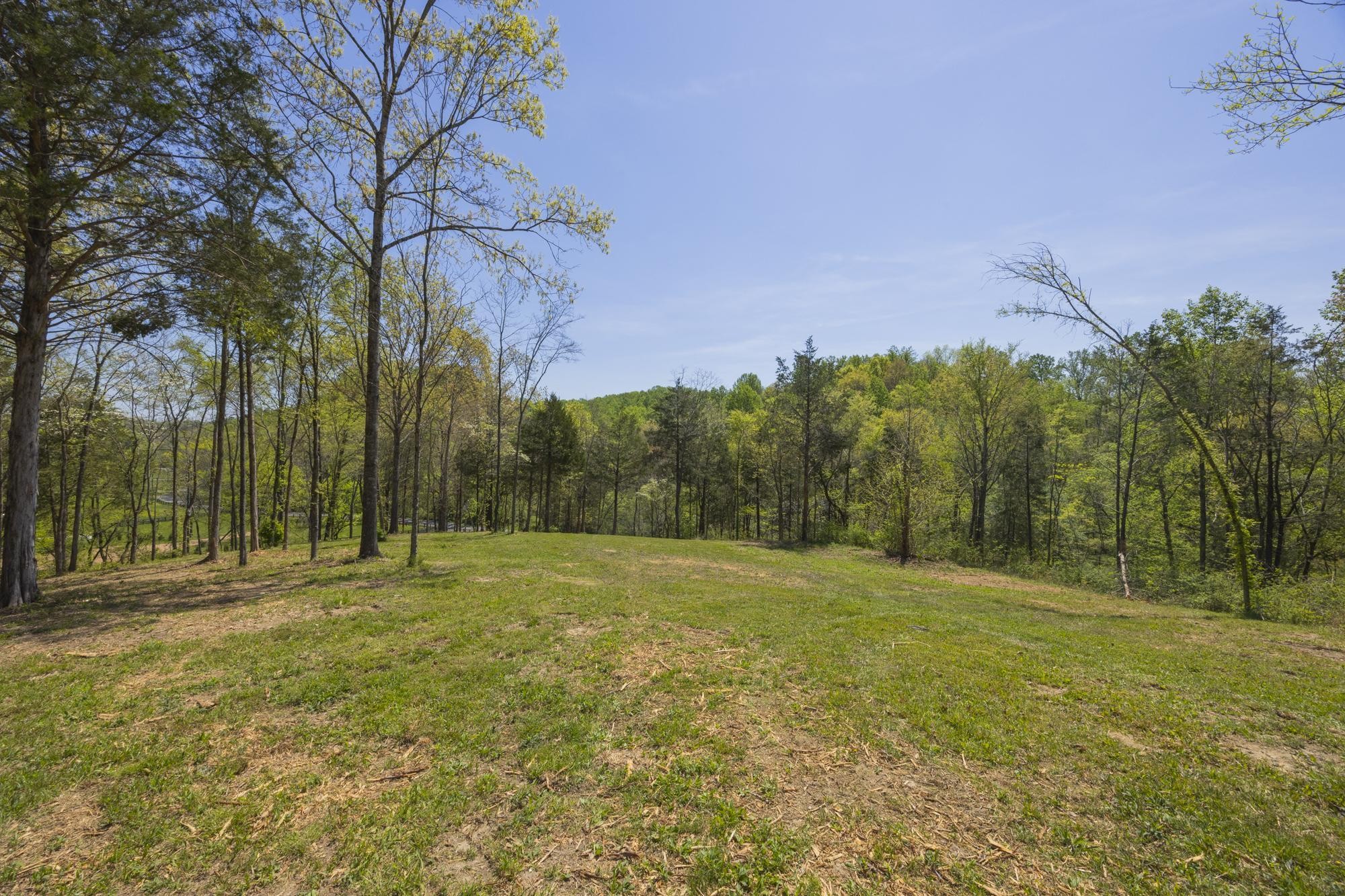 1 Johnson Hollow Road Thompsons Station TN 37179