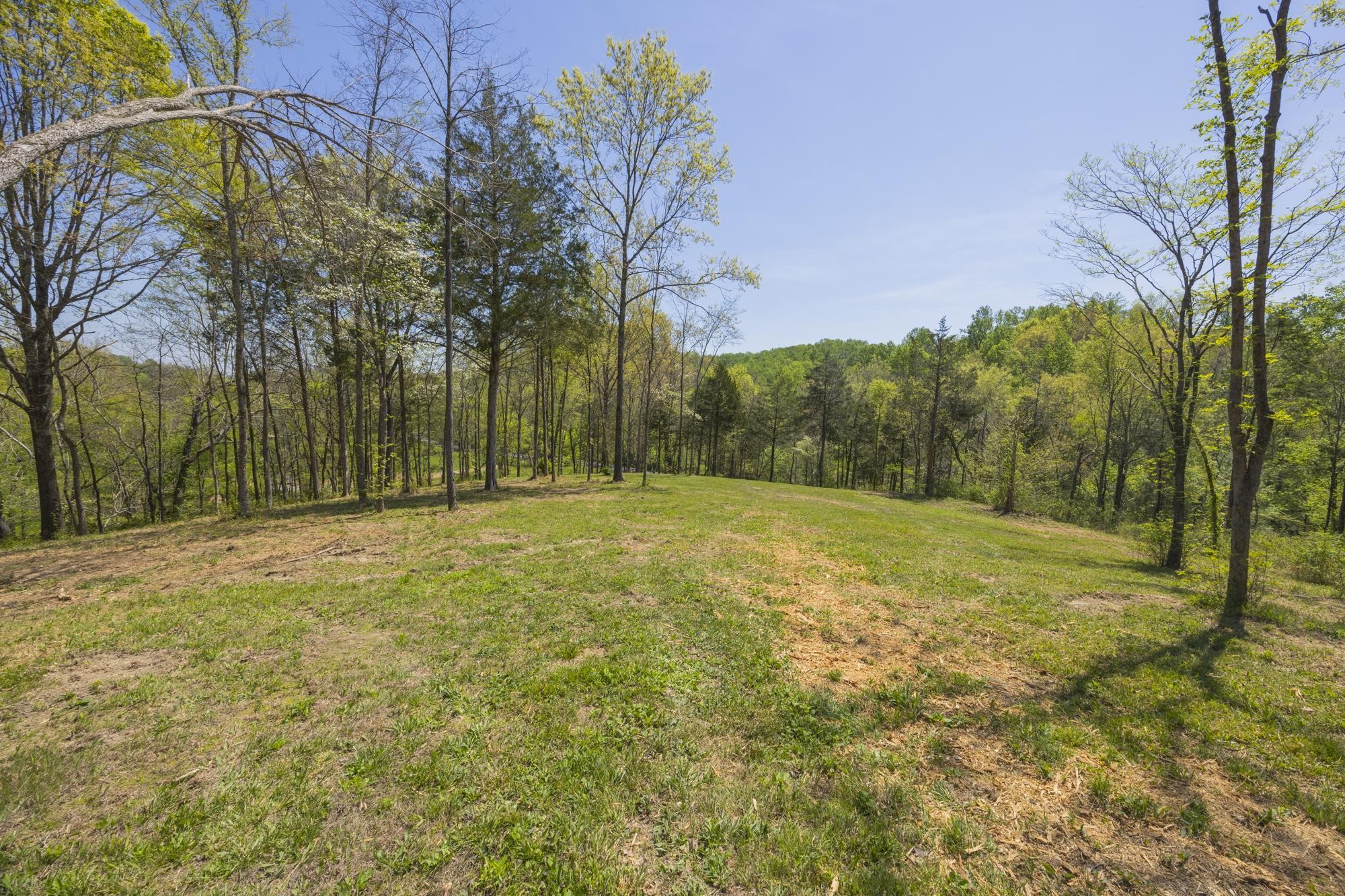 1 Johnson Hollow Road Thompsons Station TN 37179
