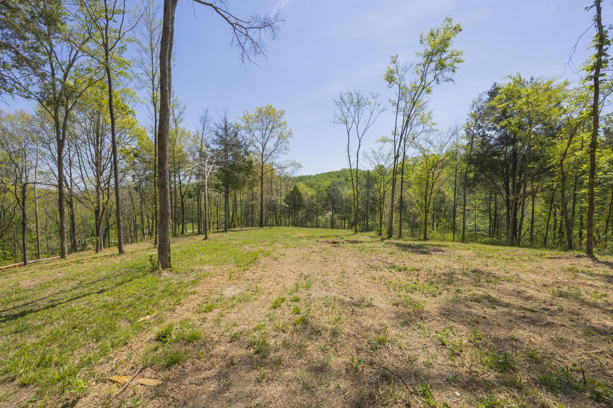 1 Johnson Hollow Road Thompsons Station TN 37179