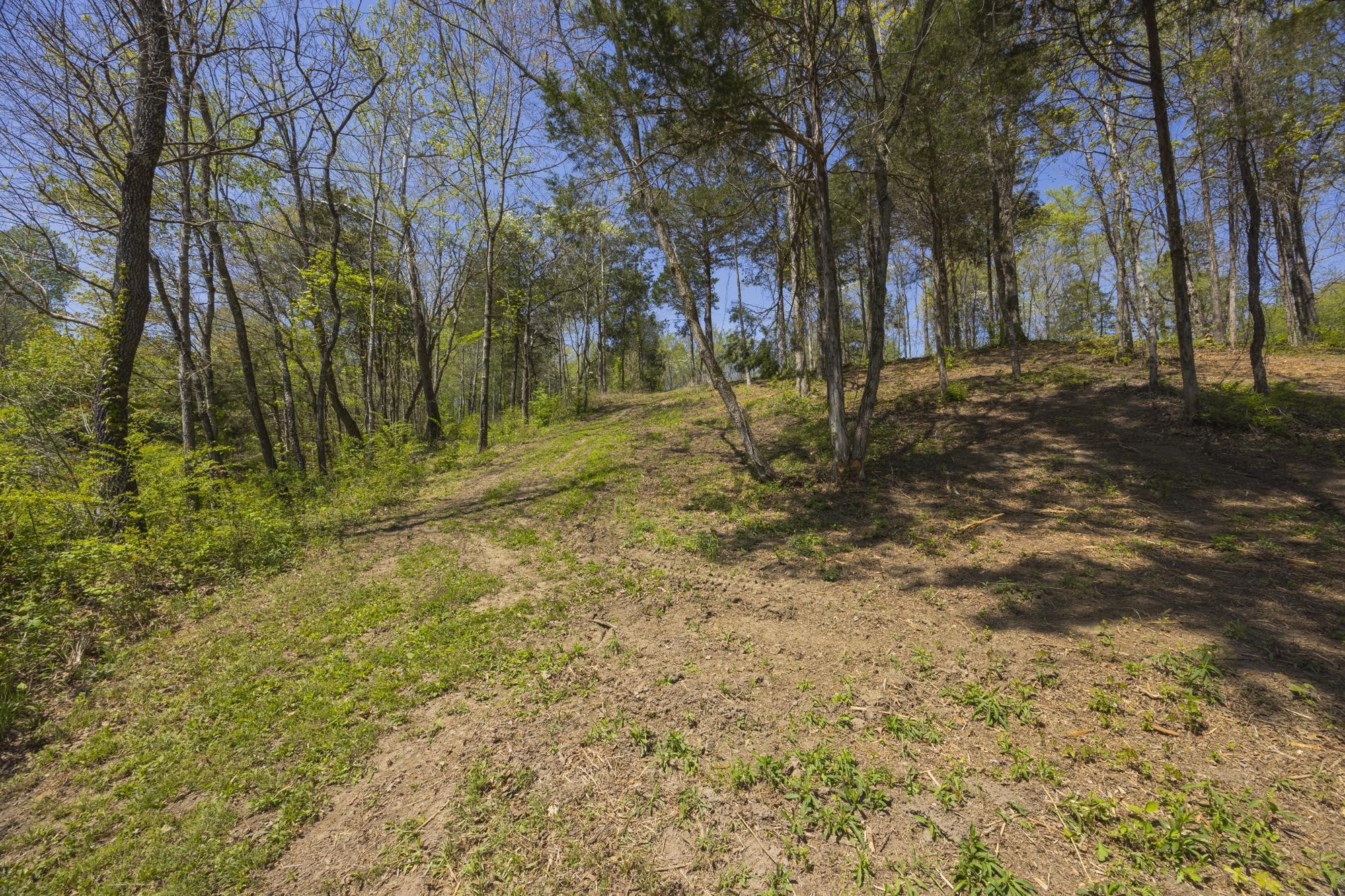1 Johnson Hollow Road Thompsons Station TN 37179