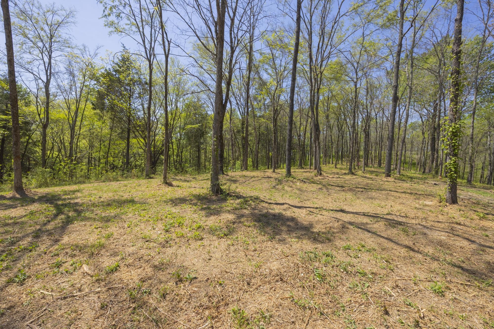 1 Johnson Hollow Road Thompsons Station TN 37179