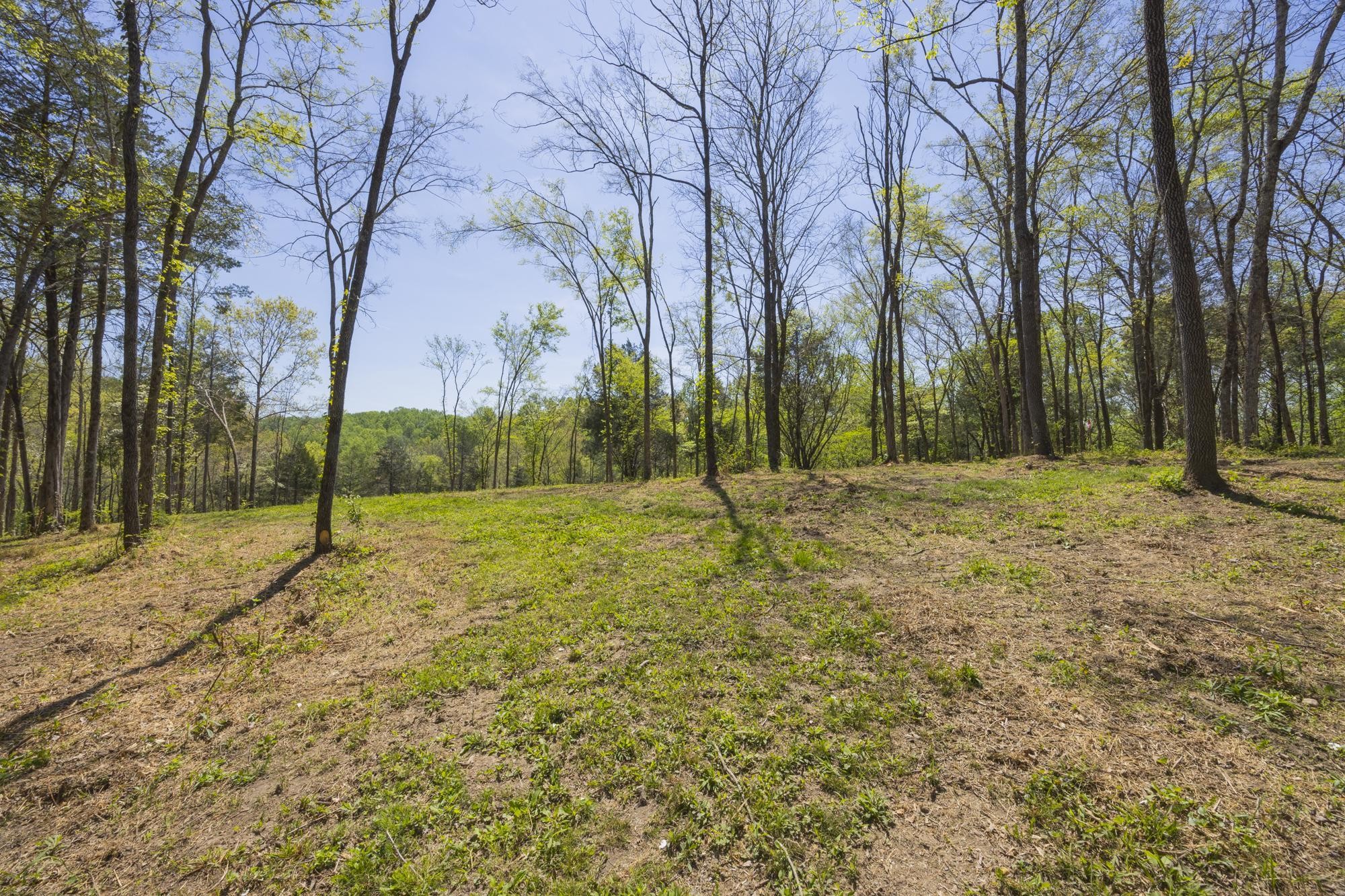 1 Johnson Hollow Road Thompsons Station TN 37179