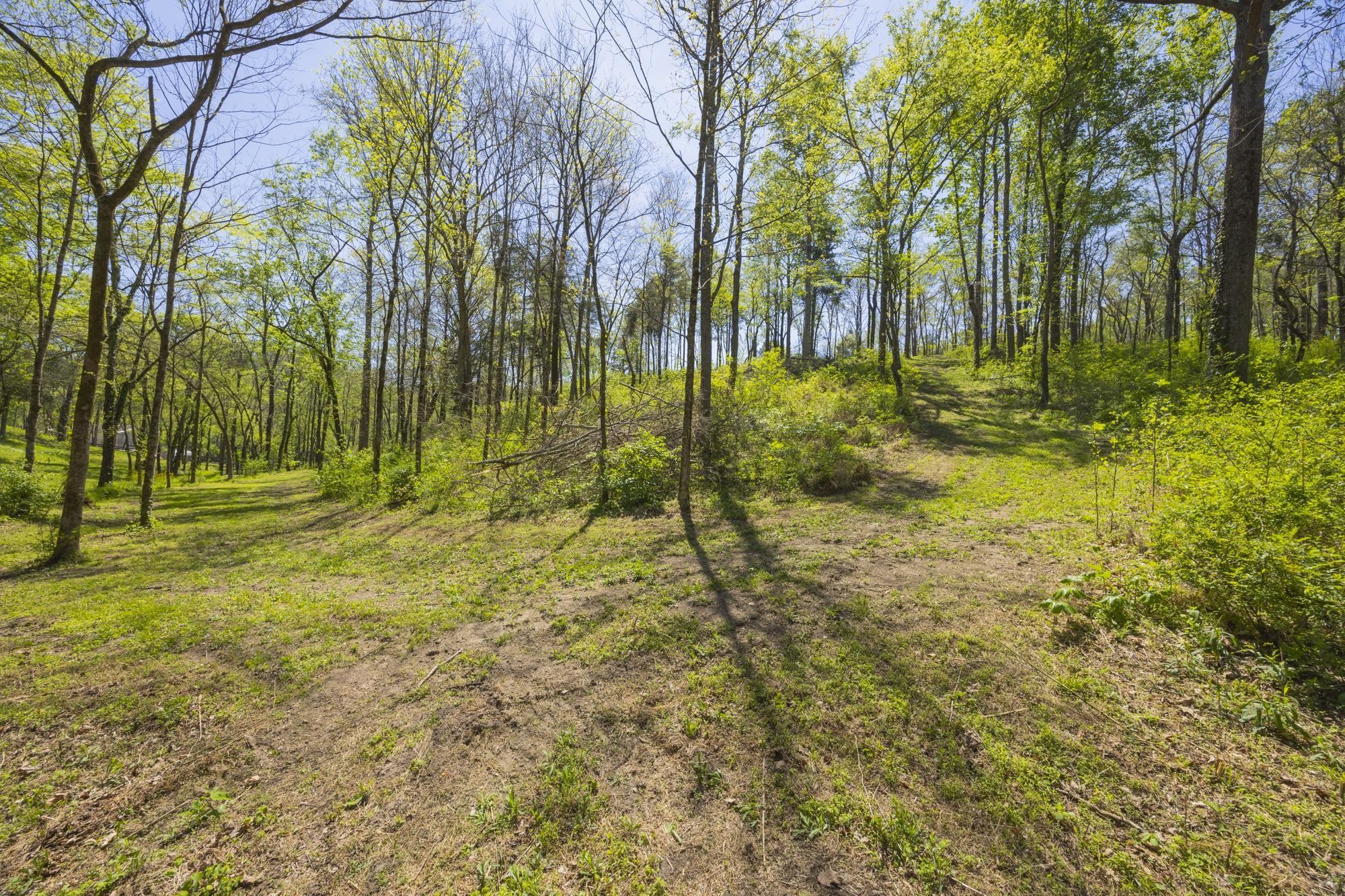 1 Johnson Hollow Road Thompsons Station TN 37179