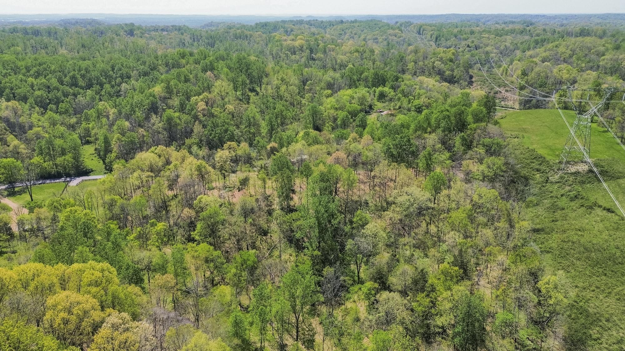 1 Johnson Hollow Road Thompsons Station TN 37179
