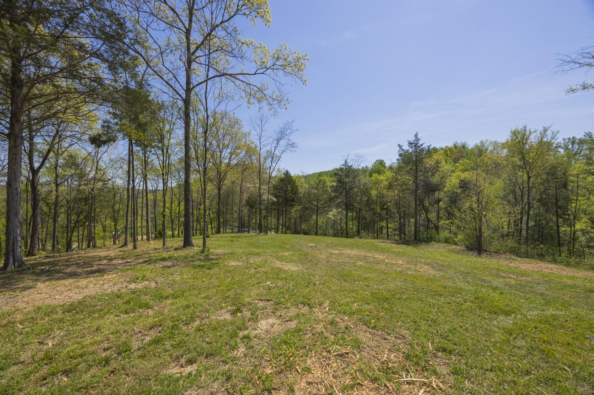 1 Johnson Hollow Road Thompsons Station TN 37179