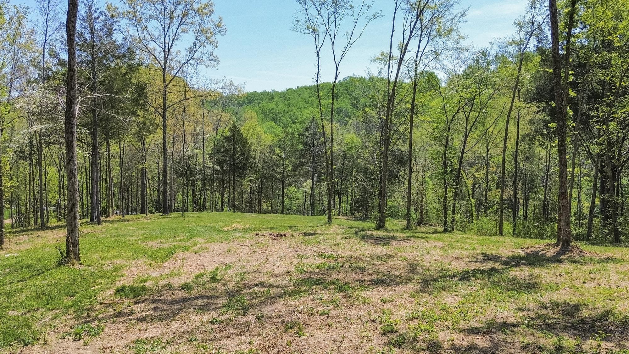 1 Johnson Hollow Road Thompsons Station TN 37179