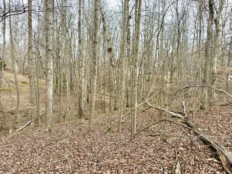 1 Woodland Way Estill Springs TN 37330