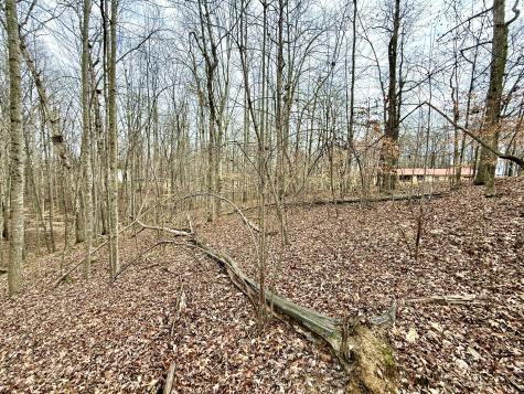 1 Woodland Way Estill Springs TN 37330