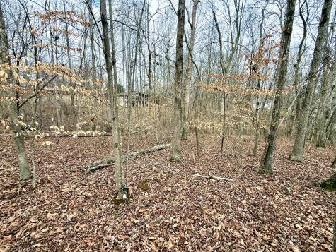 1 Woodland Way Estill Springs TN 37330