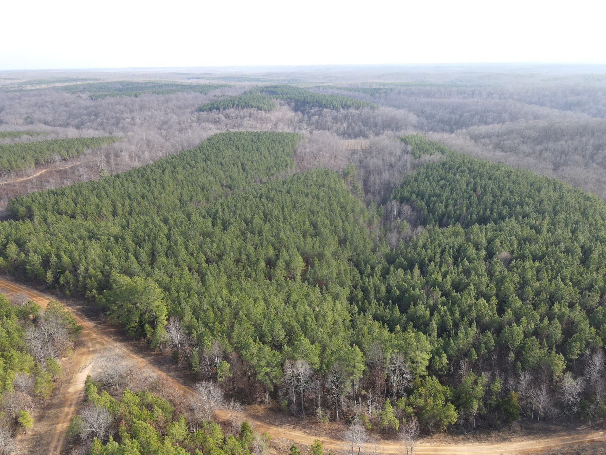 0 North Fork Stewart TN 37175