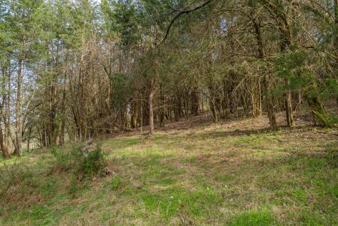 1839 Polly Adams Road Belfast TN 37019