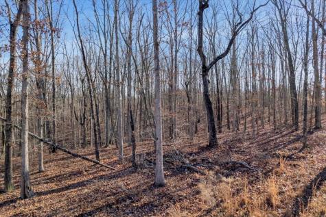211 Walosi Lane South Pittsburg TN 37380