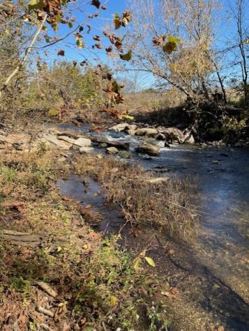 0 Old Nashville Dirt Road Shelbyville TN 37160