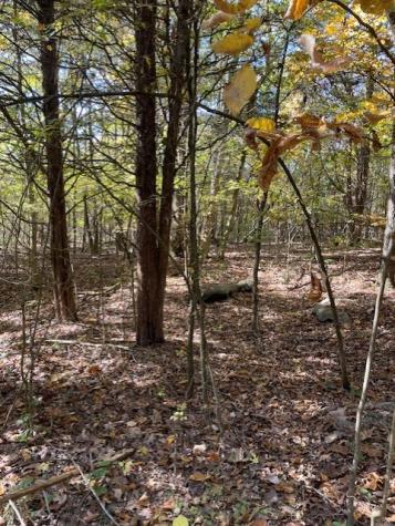 0 Old Nashville Dirt Road Shelbyville TN 37160