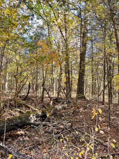 0 Old Nashville Dirt Road Shelbyville TN 37160