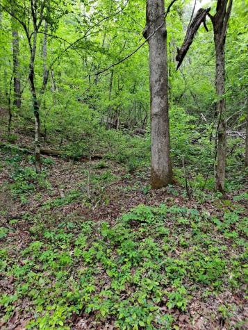 0 Childers Creek Reliance TN 37369