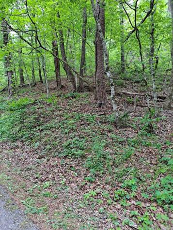 0 Childers Creek Reliance TN 37369