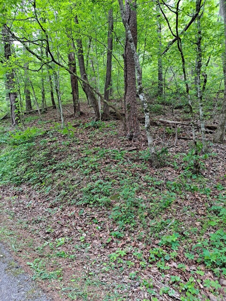 0 Childers Creek Reliance TN 37369