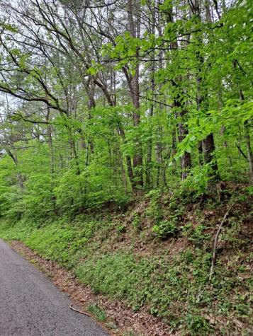 0 Childers Creek Reliance TN 37369