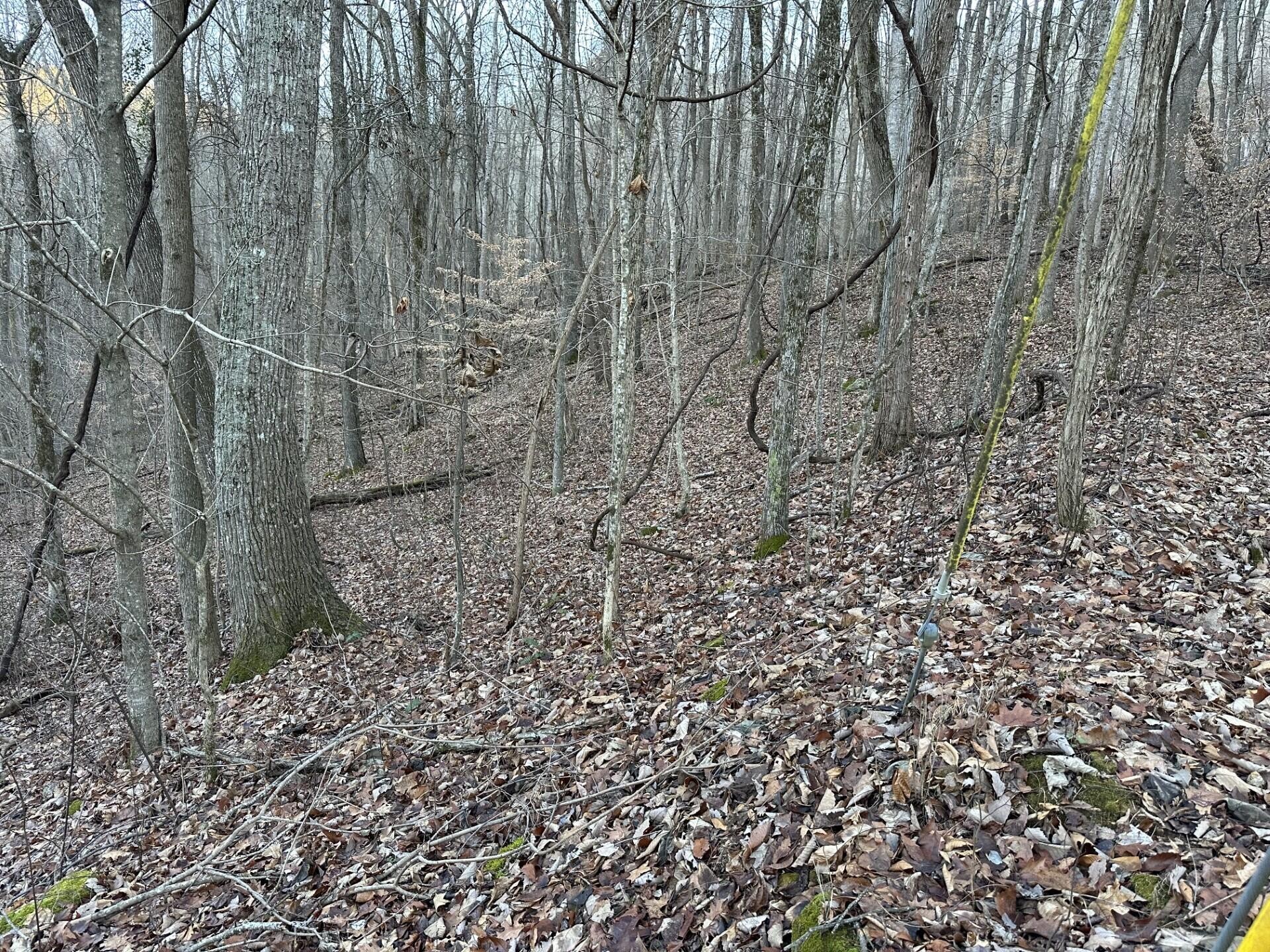 83 Stone Ridge Road Pikeville TN 37367