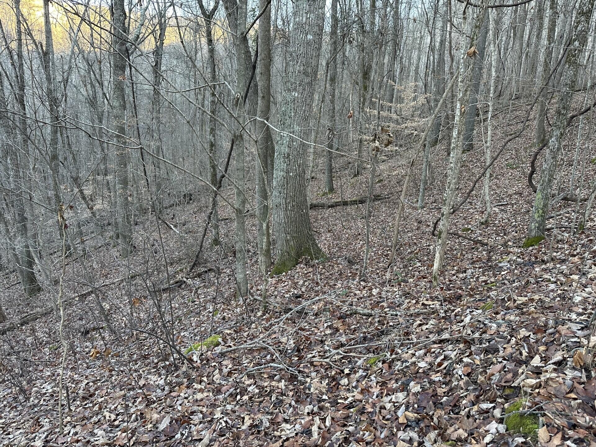 83 Stone Ridge Road Pikeville TN 37367