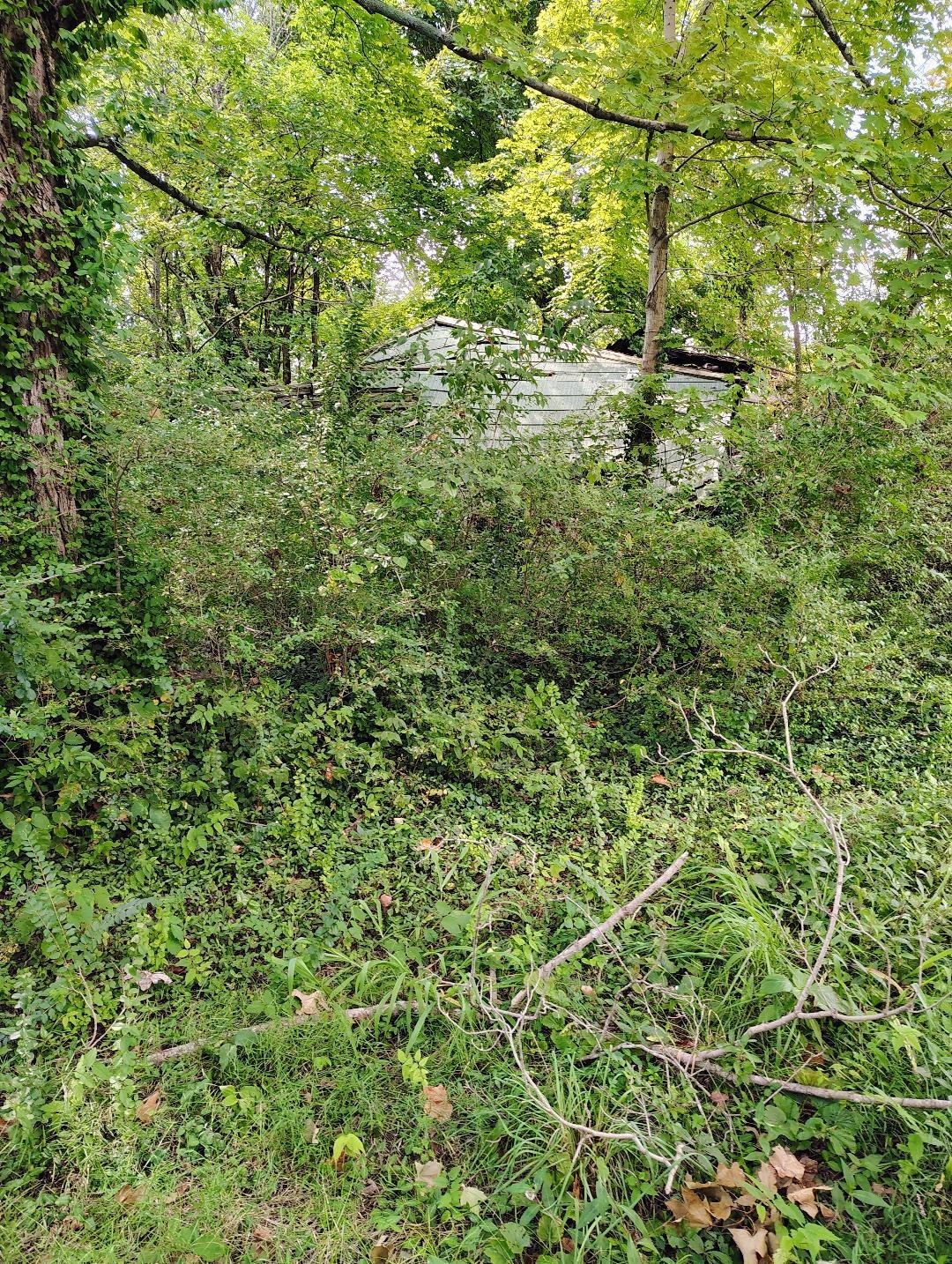 0 Newstead Road Hopkinsville KY 42240