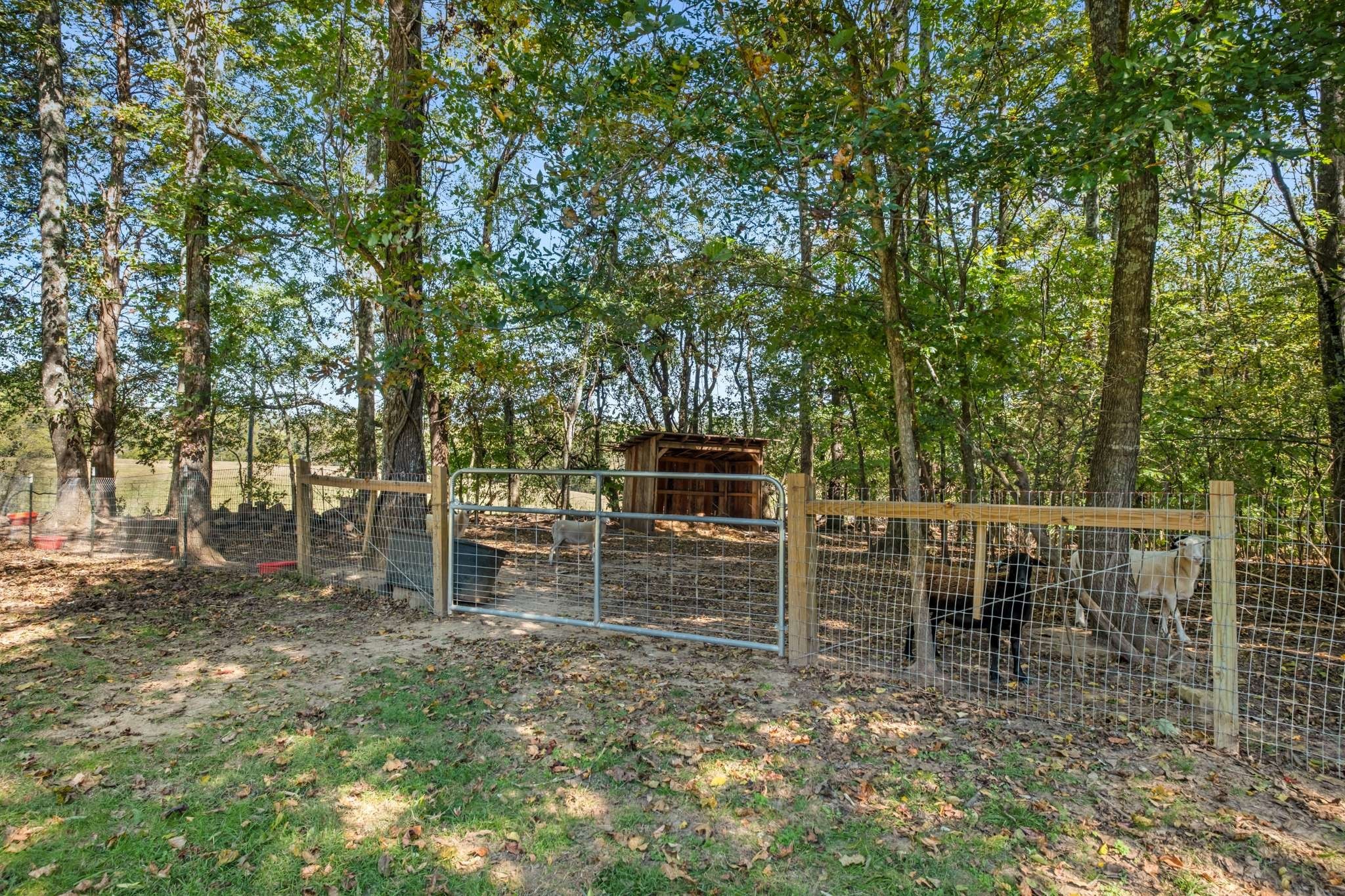 7101 Hardwood Lane College Grove TN 37046
