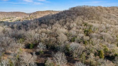 9222 Horton Highway College Grove TN 37046