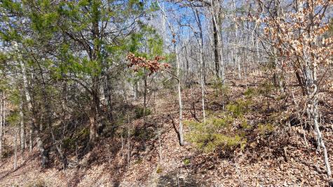 0 Smith Farm Road Nashville TN 37221