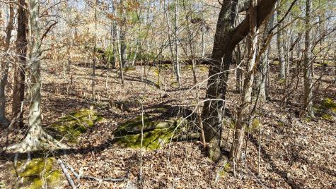 0 Smith Farm Road Nashville TN 37221