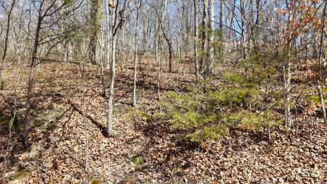 0 Smith Farm Road Nashville TN 37221