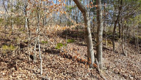 0 Smith Farm Road Nashville TN 37221