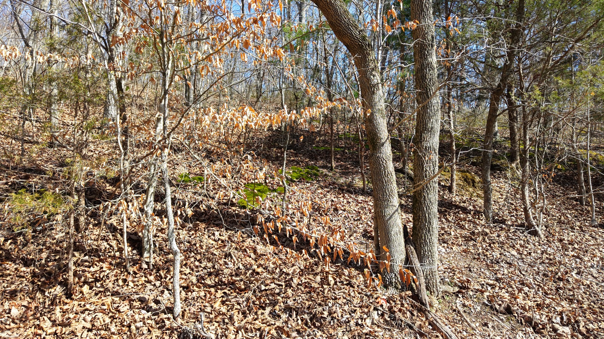 0 Smith Farm Road Nashville TN 37221