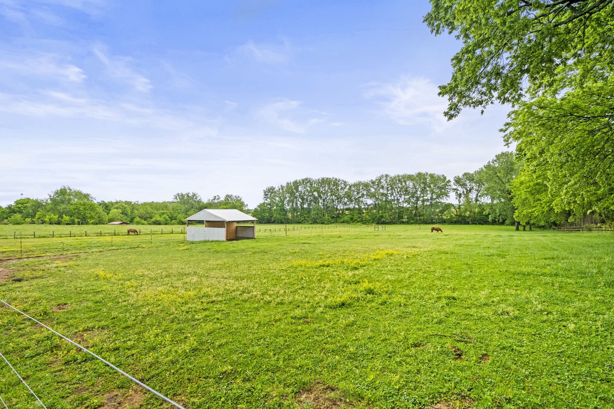 5535 Highway 161 Springfield TN 37172