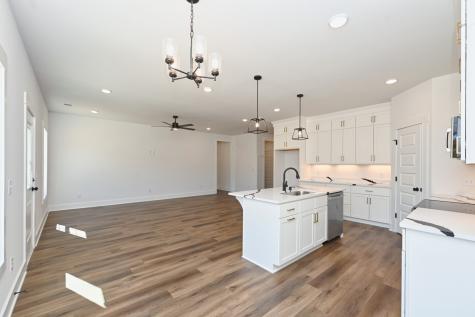 1132 Angus Way Greenbrier TN 37073