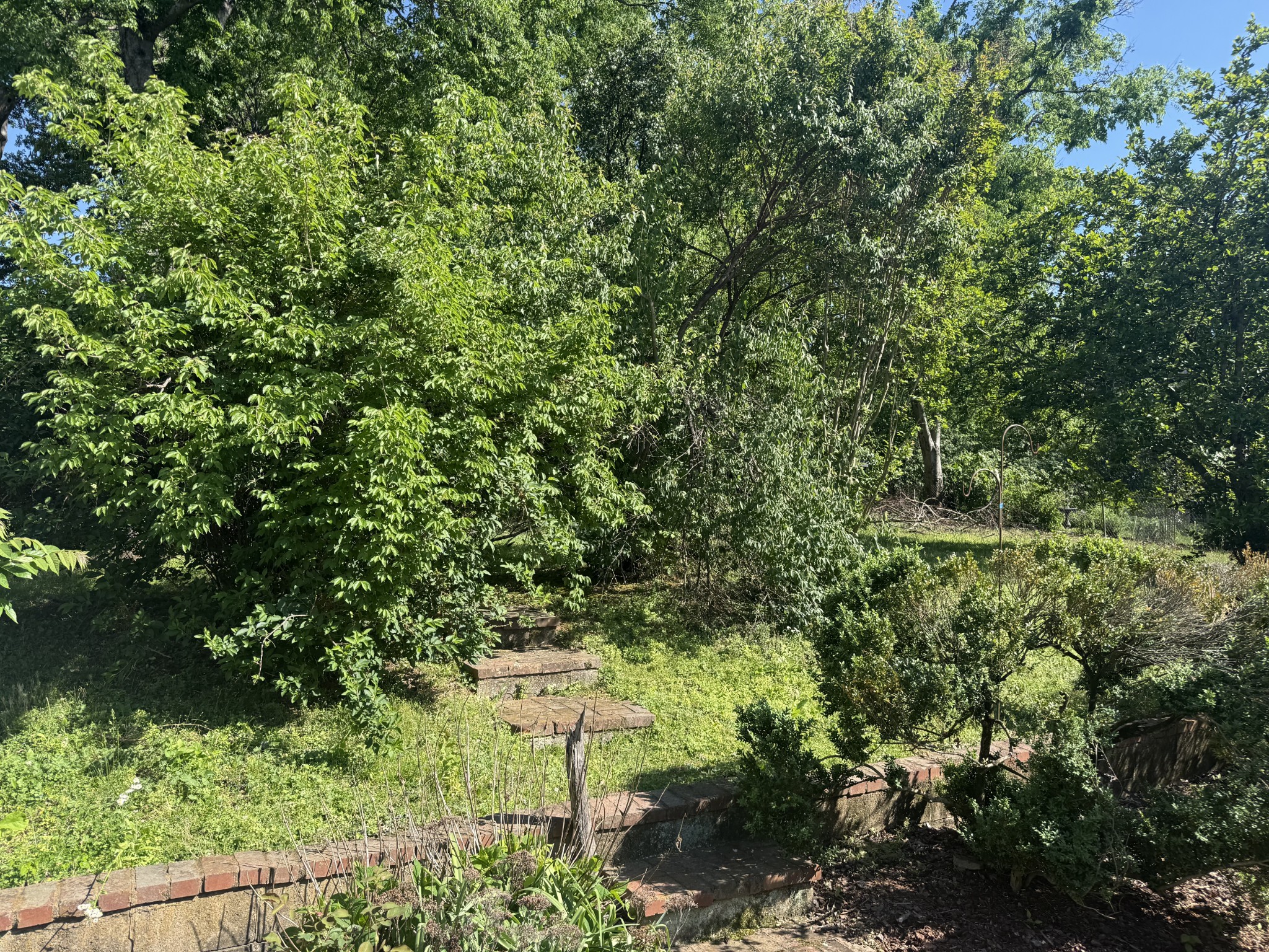 3808 Tulane Court Nashville TN 37215
