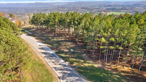 0 River Bluffs Drive Jasper TN 37347