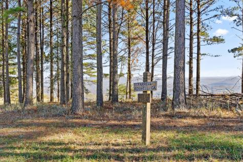 0 River Bluffs Drive Jasper TN 37347