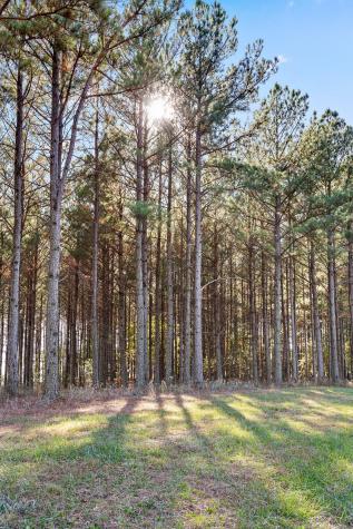 0 River Bluffs Drive Jasper TN 37347