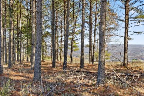 0 River Bluffs Drive Jasper TN 37347