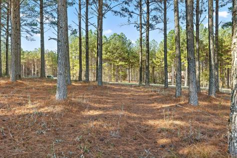 0 River Bluffs Drive Jasper TN 37347