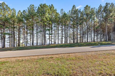 0 River Bluffs Drive Jasper TN 37347