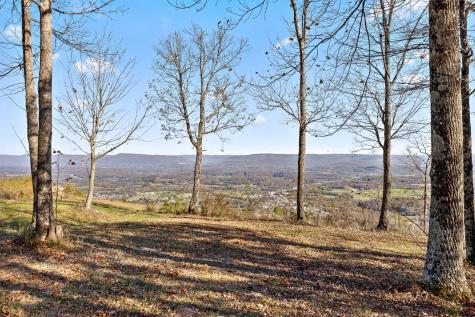 0 River Bluffs Drive Jasper TN 37347